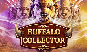Imagem do jogo Buffalo Collector no 4play